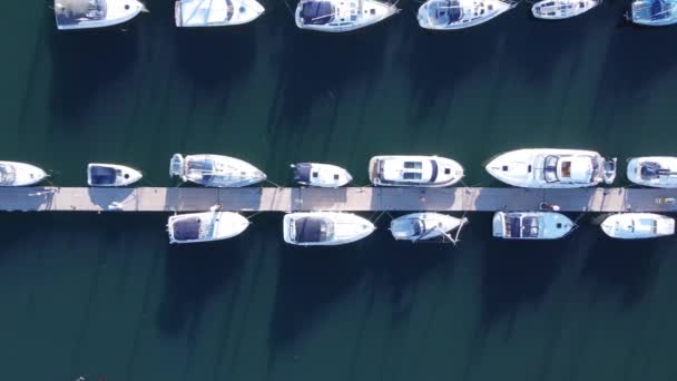 Een Top Drone Shot Van Een Ponton Vliegen Naar Rechts — Stockvideo