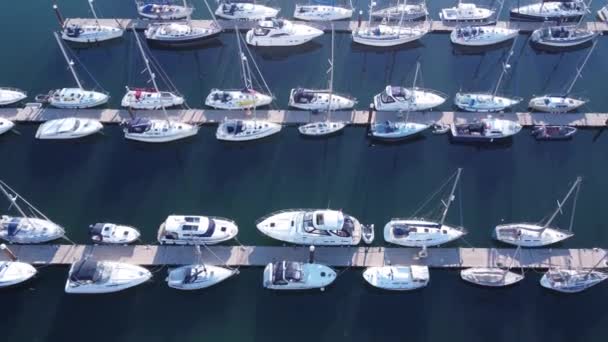 Naprzód Latający Dron Strzał Góry Wielu Pontonów Marina Jachtów Żaglowych — Wideo stockowe