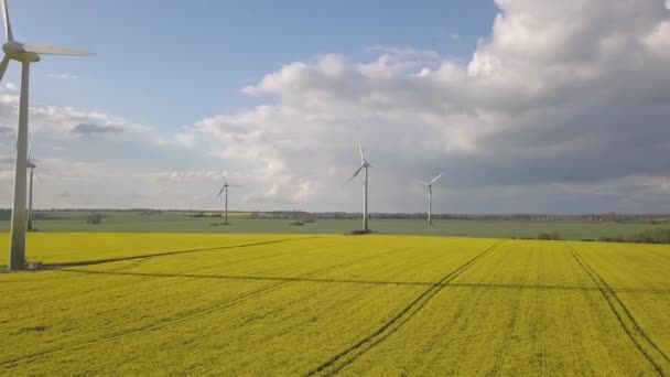 Yellow Canola Field Wind Mills Turbines Running Fast — Stock Video
