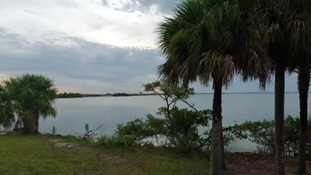 Early Morning Banana Rive Cape Canaveral Florida — 비디오
