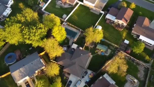 Plan Aérien Descendant Vers Ligne Des Arbres Pour Exposer Les — Video