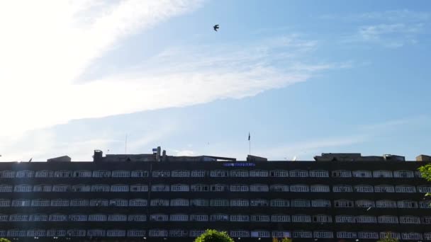 Construindo Para Céu Rebanho Aves Grupo Estão Voando Nuvens Negras — Vídeo de Stock