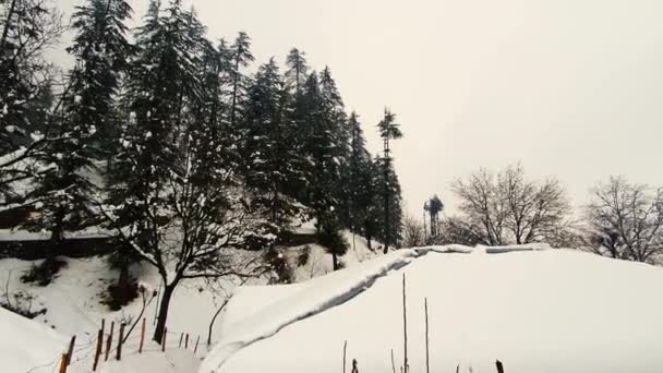 Água Neve Converte Água Irrigação Nevando Caxemira Parece Belo Chili — Vídeo de Stock