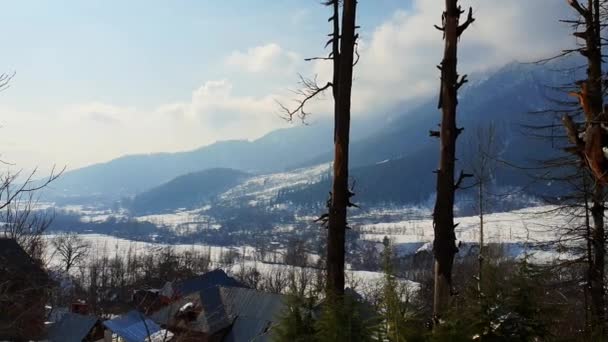 Snövatten Omvandlas Till Bevattningsvatten Snön Kashmir Ser Vacker Chili Och — Stockvideo