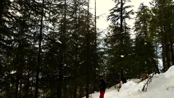 Biancaneve Kashmir Coperto Colline Montagne Piante Valle Neve Caduta Jammu — Video Stock