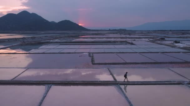 探検家のシルエットは ベトナムのファンランで黄金の時間の間に広大な無限の塩のフィールドを歩く — ストック動画