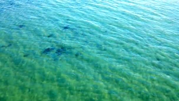 Helder Groenblauw Zeewater Met Rimpels Bahia Los Angeles Baja California — Stockvideo