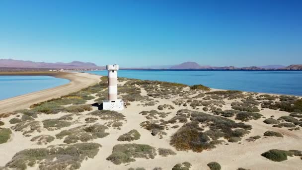 Faro Fosa Arena Entrada Del Puerto Punta Arenas Bahía Los — Vídeos de Stock