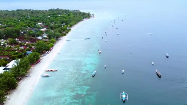 Vista Aves Barcos Flotando Superficie Del Agua Del Mar Largo — Vídeos de Stock