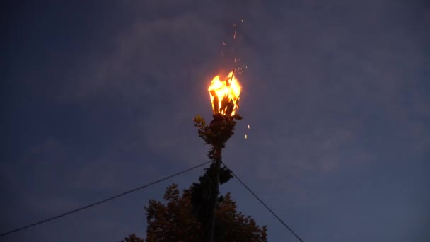 仲夏拉脱维亚男子 头戴橡木叶花环 点亮了一个挂满焦油 装饰有橡木叶并挂在杆子顶上的小池塘 — 图库视频影像