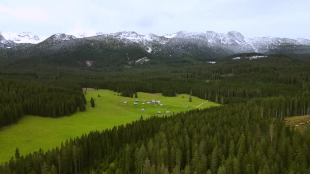 Pitoresco Planalto Verde Cercado Por Árvores Densas Montanhas Cobertas Neve — Vídeo de Stock