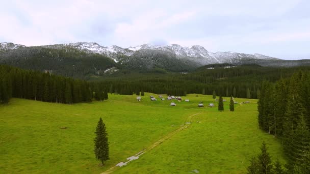 环绕着茂密的高树和白雪覆盖的高山的青翠高原迷人的景色 空中景观 — 图库视频影像