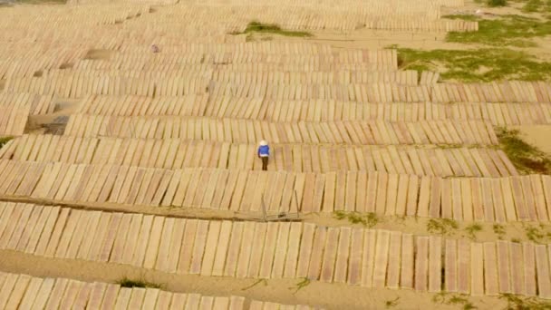 在越南中部平定省的稻纸村 一位工人正在烘干稻纸片 饭纸是越南人的传统食品 — 图库视频影像