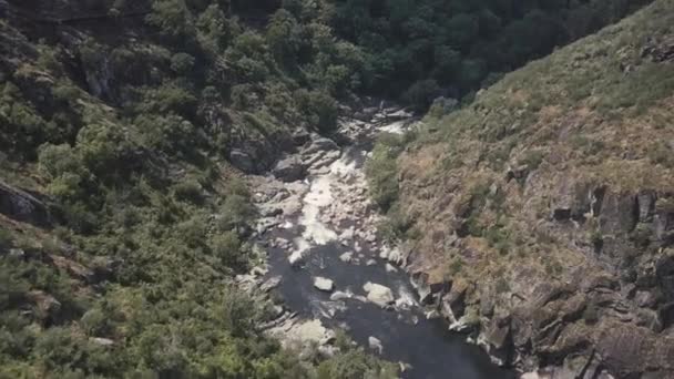 Vuelo Aéreo Sobre Río Rocoso Natural Rodeado Verdes Montañas Verano — Vídeos de Stock