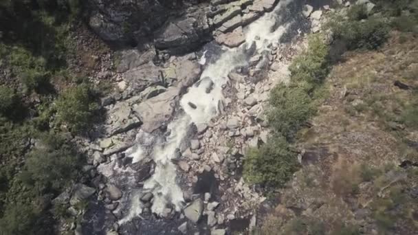 Portekiz Değmemiş Ormanlarında Akan Derenin Üzerinden Havadan Aşağıya Doğru Uçuyor — Stok video