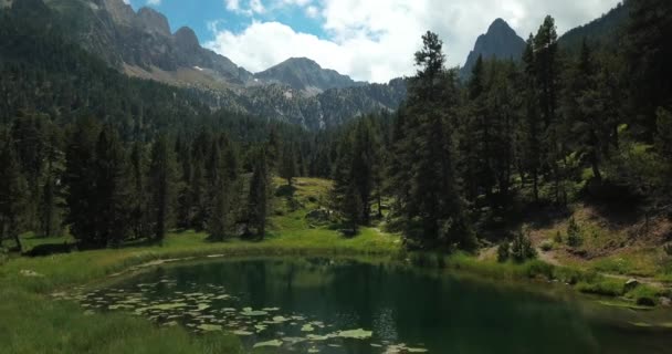 Rekaman Horisontal Udara Dari Sebuah Danau Lingkungan Alam Hijau Dengan — Stok Video