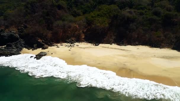 プレヤサンパンチョの砂浜で濃い緑の森サンフランシスコ ナヤリット メキシコ — ストック動画