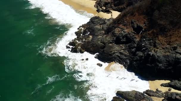 Flock Birds Flying Large Beach Rocks Seashore Playa San Pancho — Stockvideo