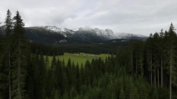 Scénický Alpský Les Pokljuka Horskými Pastvinami Triglav — Stock video