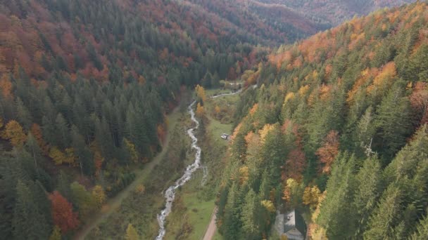 Jesienne Kolory Drzew Iglastych Parku Narodowym Triglav Słowenia — Wideo stockowe