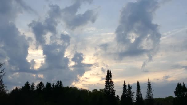 Bellissimo Time Lapse Nuvole Che Muovono Sugli Alberi Tramonto Timelapse — Video Stock