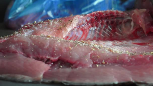 Многие Виды Рыб Употребляются Пищу Практически Регионах Мира Рыба Важным — стоковое видео