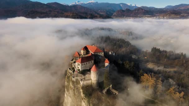 Εντυπωσιακό Bled Κάστρο Που Περιβάλλεται Από Χαμηλό Κρέμονται Ομίχλη Χρυσή — Αρχείο Βίντεο