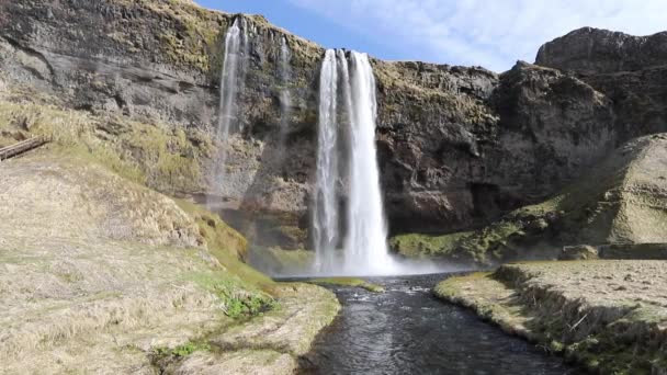 冰岛的Seljalandfoss瀑布 有河流和绿色苔藓 — 图库视频影像
