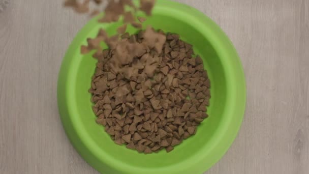 Πάνω Προς Κάτω Προβολή Pet Food Pellets Pushed Green Bowl — Αρχείο Βίντεο