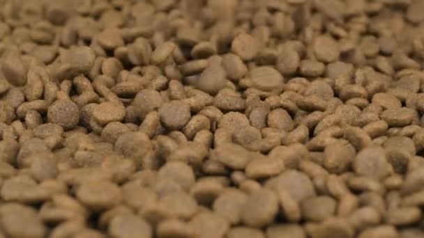 Perro Granulado Seco Comida Para Gatos Caen Pila Dof Poco — Vídeos de Stock