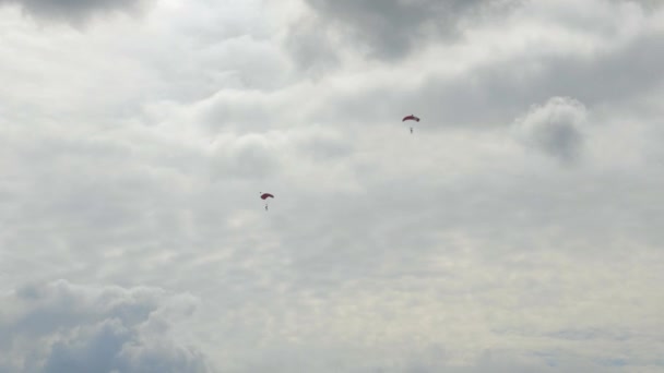 Paraşütleri Açık Iki Paraşütçü Yavaşça Yeryüzüne Süzülüyor Sahne Yaz Boyunca — Stok video