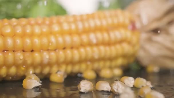 Drops Water Falling Corn Ear Corn Kernels Side Close Slow — Stock Video