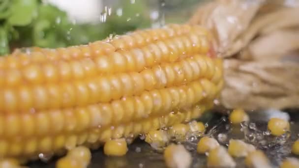 Вода Падає Розщеплюється Жовтій Кукурудзі Шматочками Кукурудзяних Ядер Крупним Планом — стокове відео