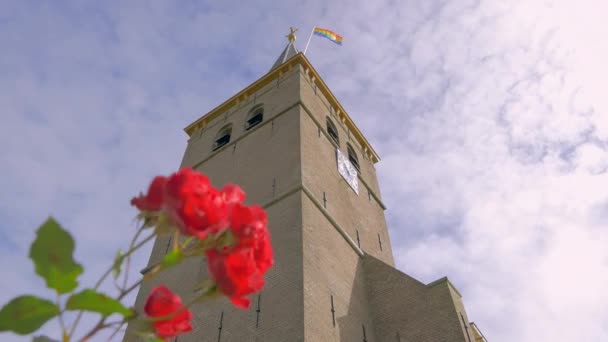 Uma Rosa Vermelha Acenando Vento Frente Uma Antiga Igreja Gótica — Vídeo de Stock