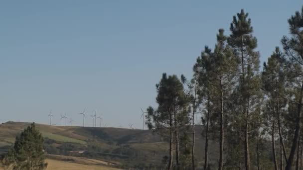 Prachtig Landschapsbeeld Van Windturbines Omgeven Door Bomen Natuur Spanje — Stockvideo