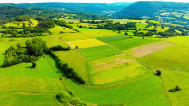 Vista Aérea Del Dron Exuberantes Campos Verano Verdes — Vídeos de Stock