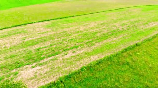 Εναέρια Drone Άποψη Του Lush Πράσινο Καλοκαίρι Πεδία — Αρχείο Βίντεο