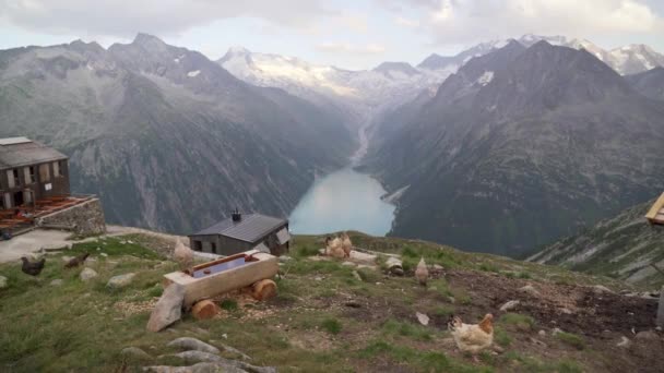 Little Farm Next Olpererfhtte Austria Chickens Running Farm Blue Lake — Stock Video