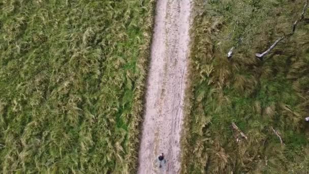 Drone Disparado Cima Cara Correndo Pela Natureza — Vídeo de Stock