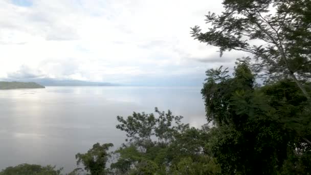 Drone Shot Flying Trees Reveal Tropical Beach Costa Rica — Stock Video