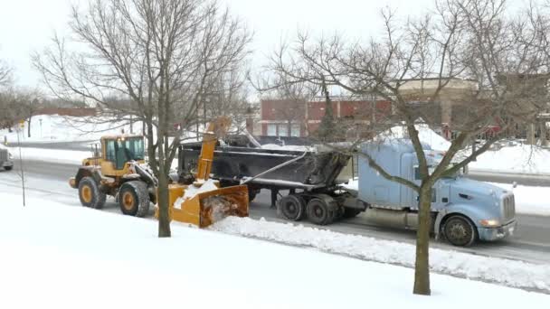 Statikus Kilátás Hóeke Tisztító Eltávolításával Betöltése Egy Teherautóra Montrealban Egyesült — Stock videók