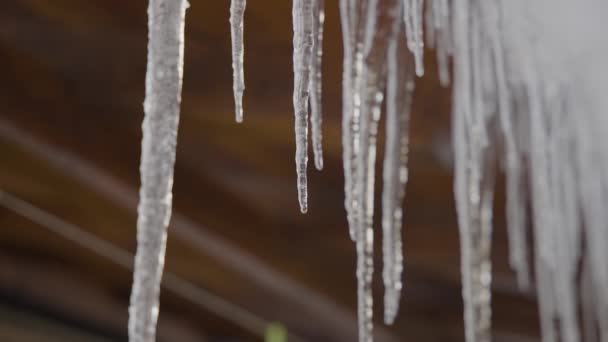 Picos Hielo Que Funden Cámara Lenta Invierno Con Movimiento Cámara — Vídeo de stock