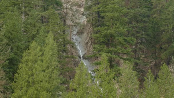山边森林里的泥石流或山体滑坡自然灾害 仍在射击 — 图库视频影像