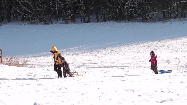 Winter Sneeuw Sleeën Downhill Kinderen Moeder Met Slee Sneeuw Met — Stockvideo