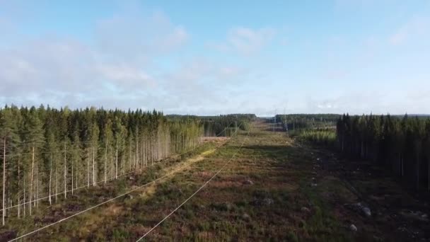 Drönarskott Som Flyger Över Fält Och Skogar Med Telefonlinjer Finland — Stockvideo