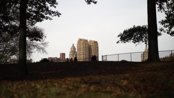 Personnes Marchant Dans Central Park New York Silhouettes Piétons Avec — Video