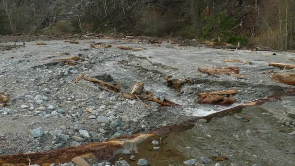 Vidéo Eau Inondant Terre Accompagnée Arbres Tombés Catastrophes Naturelles Laver — Video