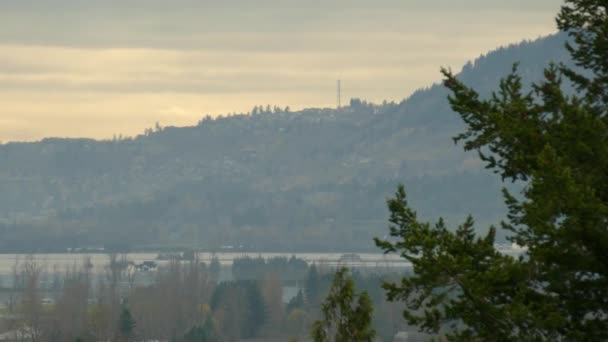 Devastating Flood Misty City Farmland Storm — Stock Video