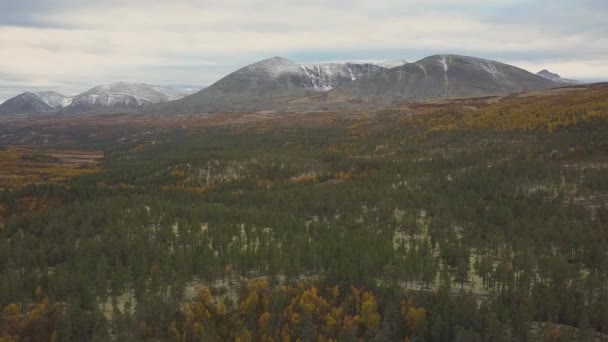 Skandinavische Berge Mit Herbstwald — Stockvideo