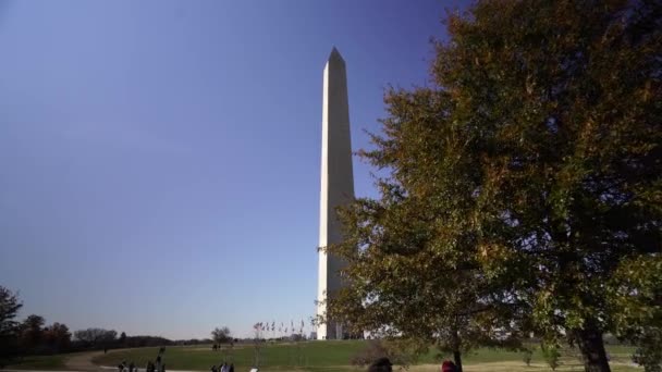 Majestätisk Washington Monument Solig Dag Promenader Framåt Genom Träd Grenar — Stockvideo